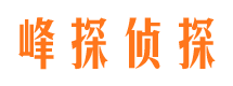 万载市婚外情调查